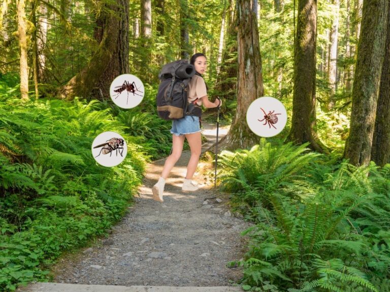 hiker girl running from bugs