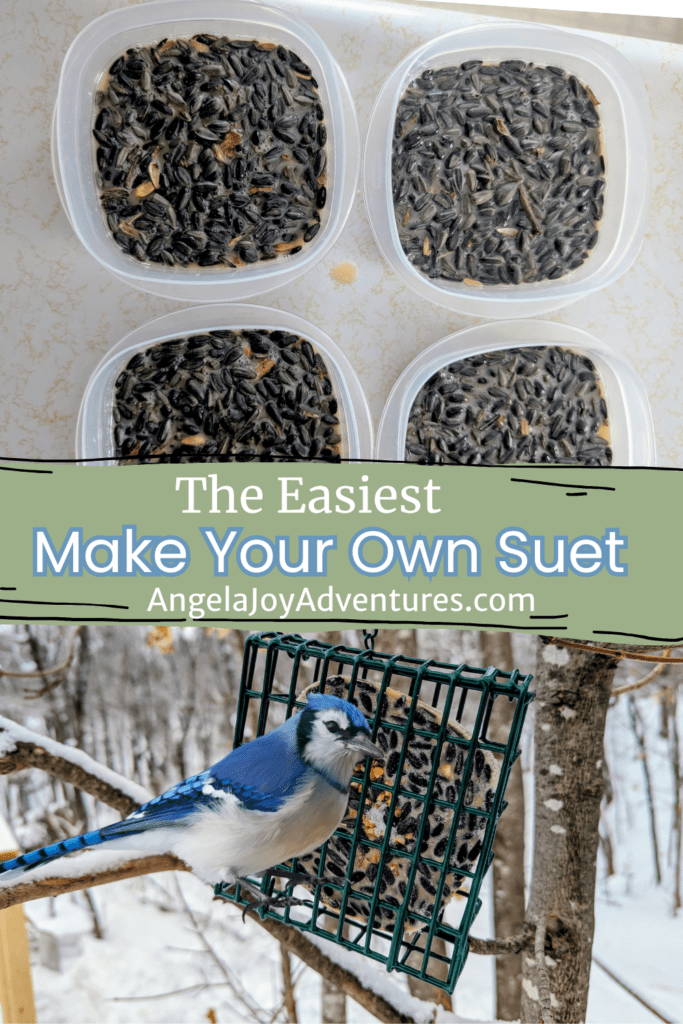 Recipe for Homemade Suet